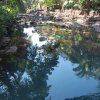 Jal Sanjivan3