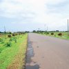 Swaroop Sawali Project1