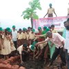 Swaroop Sawali Project2