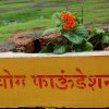 Swaroop Sawali39