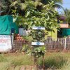 Swaroop Sawali Project6
