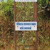 Swaroop Sawali Project8
