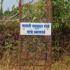 Swaroop Sawali Project9